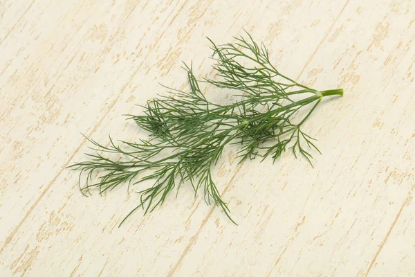 Frischer Grüner Dill Kräuterzweig Zum Kochen Bereit — Stockfoto