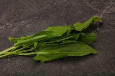 Aroma Taze yeşil kuş sürüsü