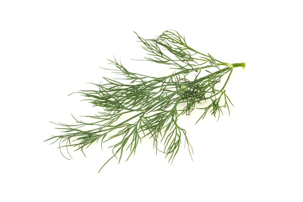Čerstvě Zelená Bylinková Větev Připravená Vaření — Stock fotografie