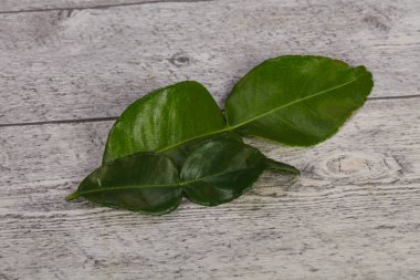 Kafir kireç yaprakları - Asya mutfağı çorba için ek