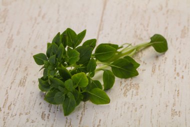 Yeşil fesleğen yaprakları - aromalı bitkiler