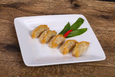 Geleneksel Japon mutfağı Gyoza köfteleri et ve deniz ürünleri.