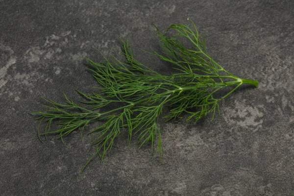 Fresh Green Dill Herb Branch Ready Cooking — Stock Photo, Image