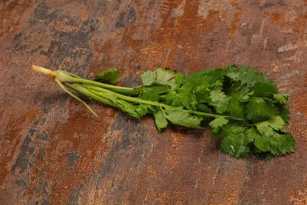 Fresco Maduro Hojas Cilantro Verde Especia — Foto de Stock