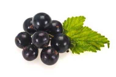 Taze taze siyah frenk üzümü