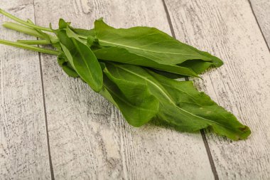 Aroma Taze yeşil kuş sürüsü