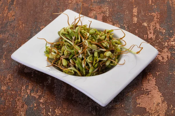 Germoglio Fagioli Purè Nella Ciotola — Foto Stock