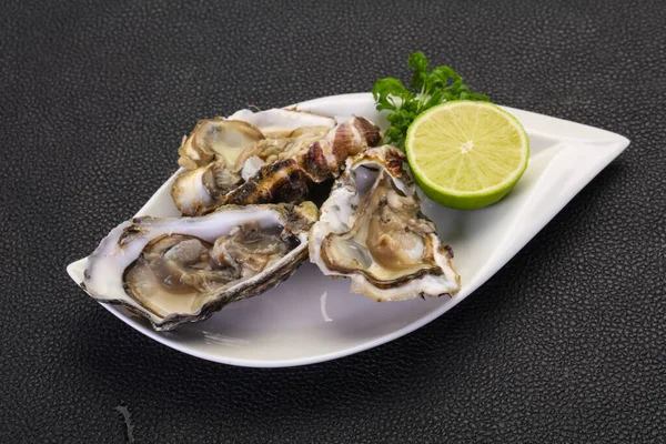 Fresh Oysters Lime Parsley — Stock Photo, Image