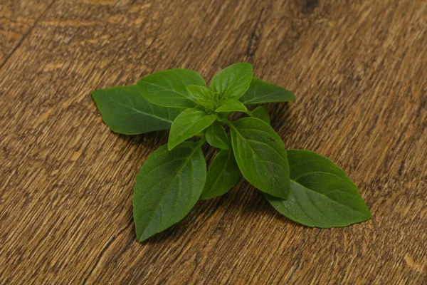 Hojas Albahaca Verde Fresca Hierba Para Cocinar —  Fotos de Stock