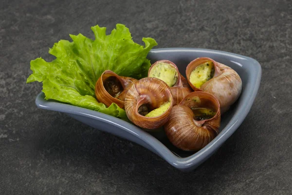 Franse Keuken Escargot Met Botersaus — Stockfoto