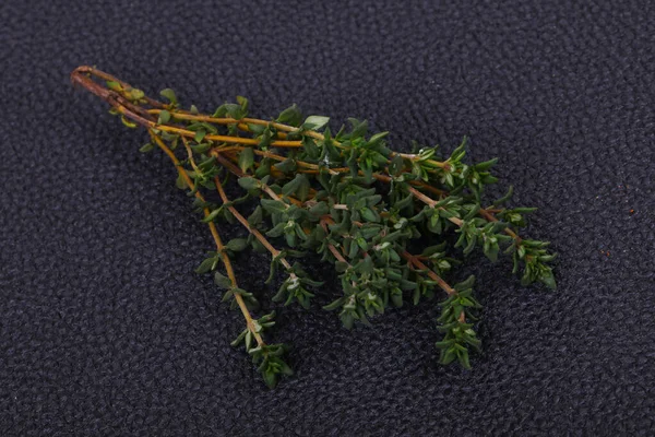 Groene Tijm Tak Specerijen Koken — Stockfoto