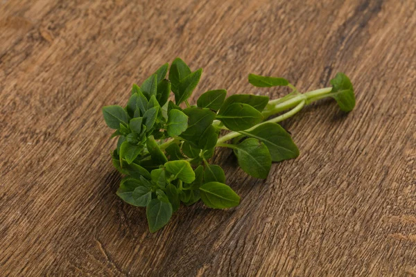 Groene Basilicum Bladeren Aromatische Kruiden — Stockfoto