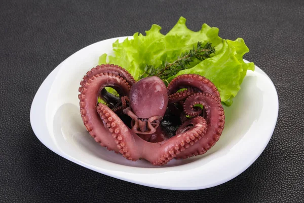 Gekochter Oktopus Mit Kräutern Teller — Stockfoto