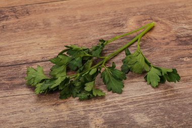 Aroma Green taze maydanoz dalı bitkisi