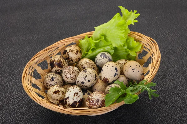 Vaktelägg Korgen Med Örter — Stockfoto