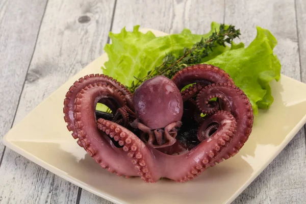 Gekochter Oktopus Mit Kräutern Teller — Stockfoto