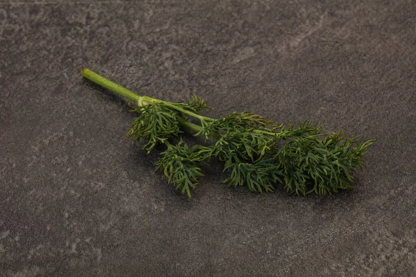 Aroma Smaksättning Green Dill Gren Över Bakgrunden — Stockfoto