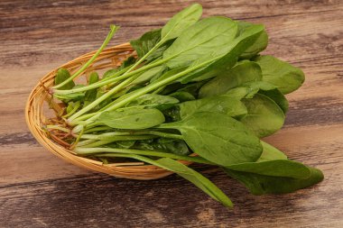 Vejetaryen mutfağı - Taze yeşil ıspanak yaprakları yığını
