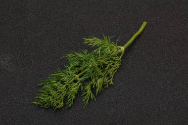 Aroma çeşnisi - Arkaplanda Yeşil Dill dalı