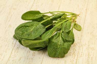 Vejetaryen mutfağı - Taze yeşil ıspanak yaprakları yığını