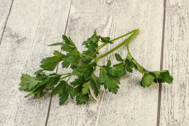 Aroma Green taze maydanoz dalı bitkisi