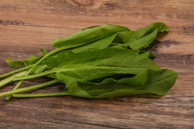 Aroma Taze yeşil kuş sürüsü