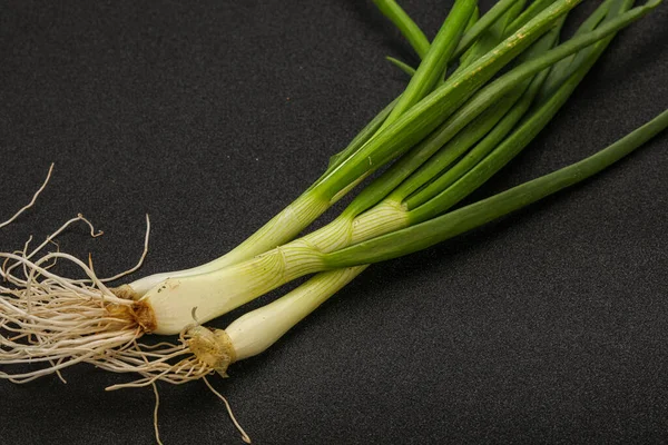 Jonge Verse Smakelijke Groene Kruiden — Stockfoto