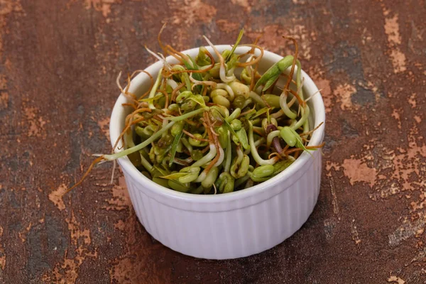 Germoglio Fagioli Purè Nella Ciotola — Foto Stock