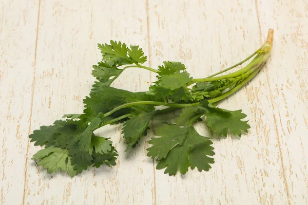 Frische Reife Grüne Koriander Blätter Gewürz — Stockfoto