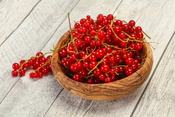 Tatlı taze kırmızı frenk üzümü