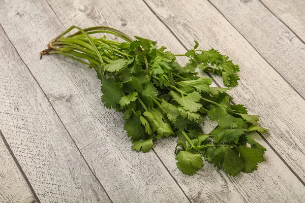 Aroma Cilantro Verde Cilantro Hojas Montón — Foto de Stock