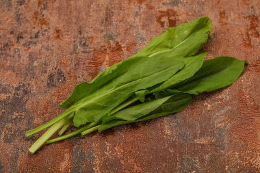 Aroma Taze yeşil kuş sürüsü