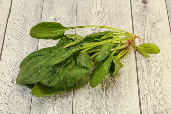 Vegansk Mat Färsk Grön Spenat Blad Hög — Stockfoto