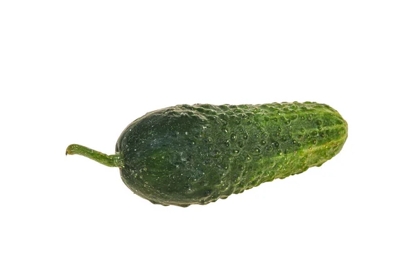 Groen Rijp Verse Een Komkommer Achtergrond — Stockfoto
