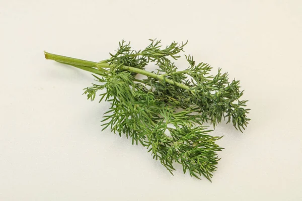 Aroma Kruiden Green Dill Tak Achtergrond — Stockfoto