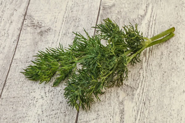 Aromawürze Grüner Dillzweig Über Hintergrund — Stockfoto