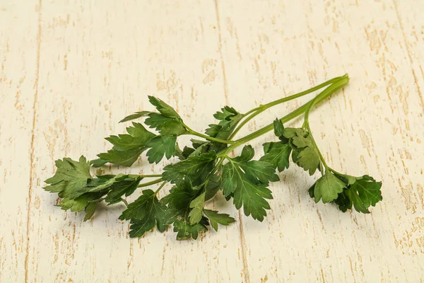 芳香绿色新鲜欧芹枝叶草本植物 — 图库照片