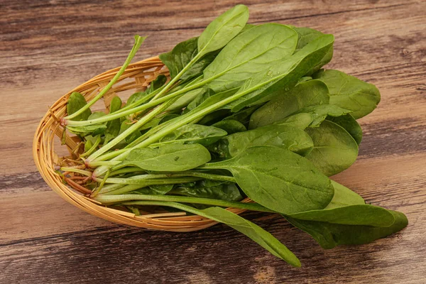 Cocina Vegana Fresco Verde Hojas Espinaca Montón — Foto de Stock