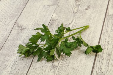 Aroma Green taze maydanoz dalı bitkisi