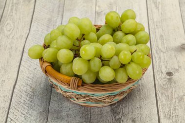 Olgun taze yeşil üzüm dalı