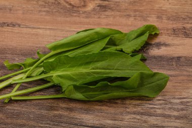 Aroma Taze yeşil kuş sürüsü