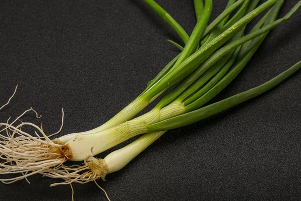 Jonge Verse Smakelijke Groene Kruiden — Stockfoto