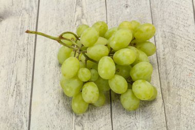 Olgun taze yeşil üzüm dalı