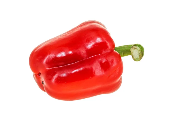 Red Bell Pepper Érett Lédús Friss — Stock Fotó