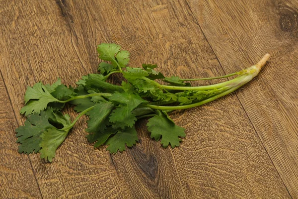 Fresco Maduro Hojas Cilantro Verde Especia — Foto de Stock