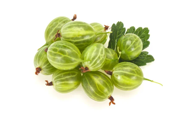 Fresh Ripe Green Sweet Gooseberry Leaf — Stock Photo, Image