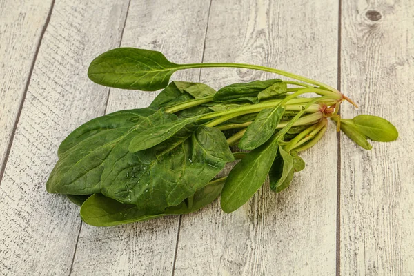 Veganistische Keuken Verse Groene Spinazie Bladeren Hoop — Stockfoto