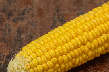 Tatlı yumuşak sarı doğal mısır yemek için.