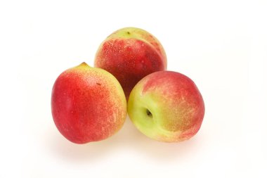 Tatlı taze olgun kayısılar arka planda.