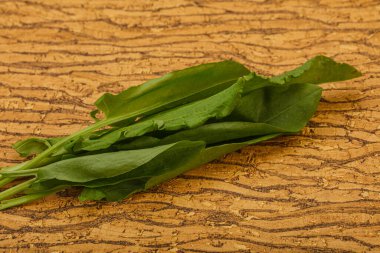 Aroma Taze yeşil kuş sürüsü